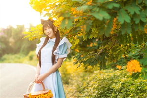 爱上海同城论坛：农业科技在上海的应用前景